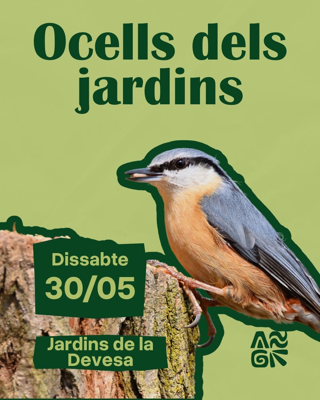 Ocells dels jardins