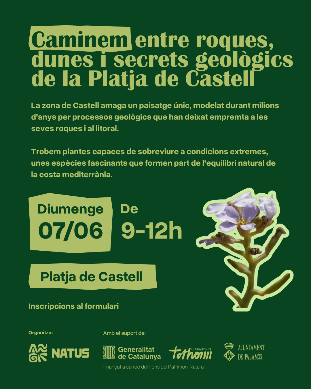 Geologia i plantes de Castell
