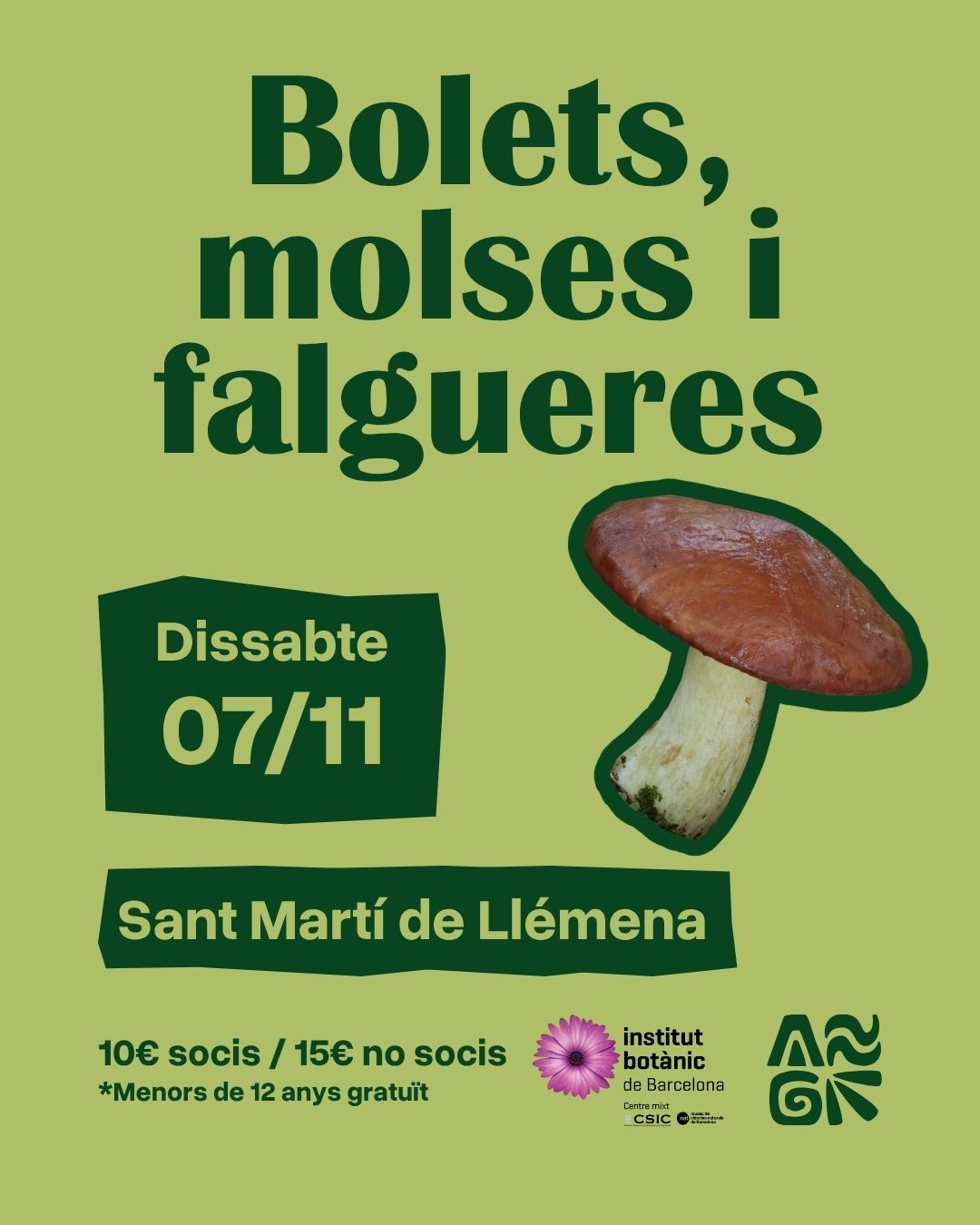 Bolets, molses i falgueres