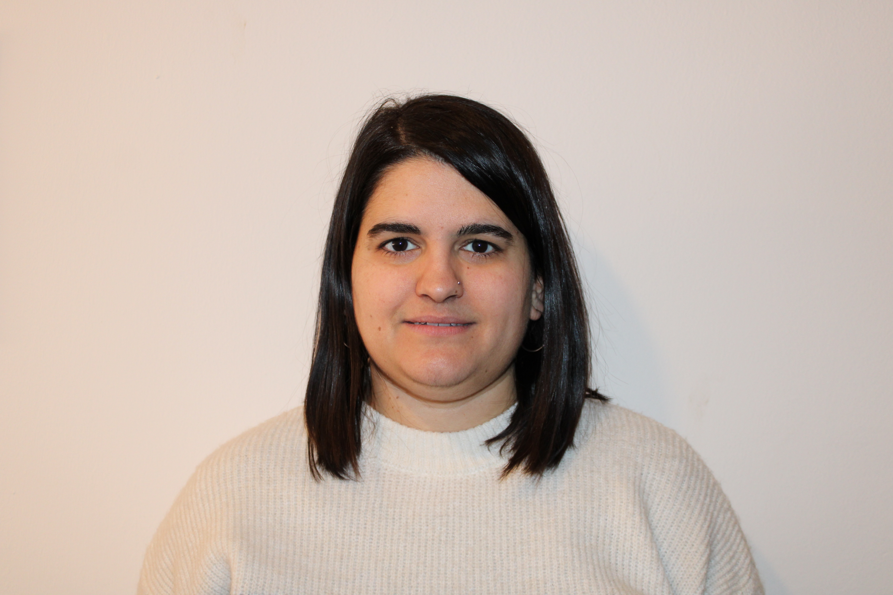 Incidència política