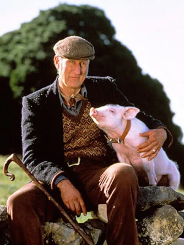 Babe el cerdito valiente