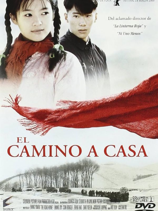El camino a casa 