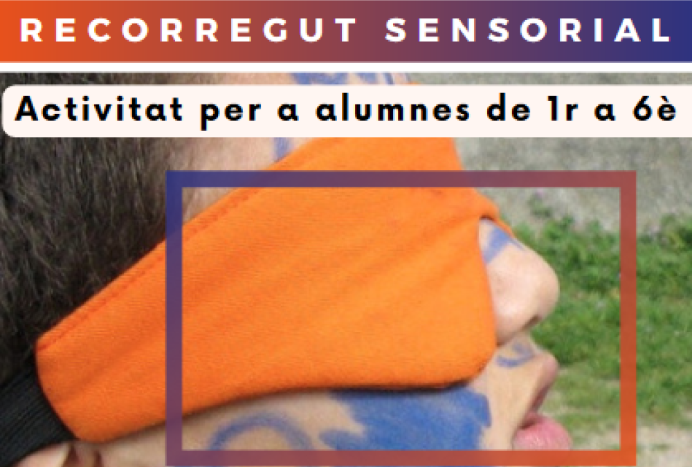 Recursos del mes de setembre 2024