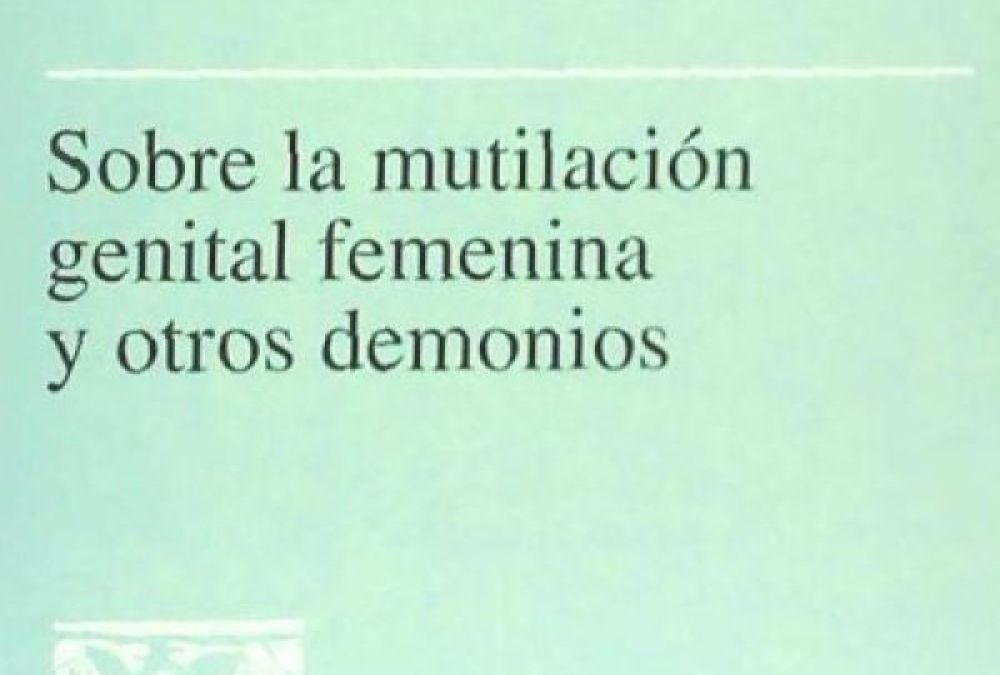 Recurs del CeDRe del mes de febrer de 2025