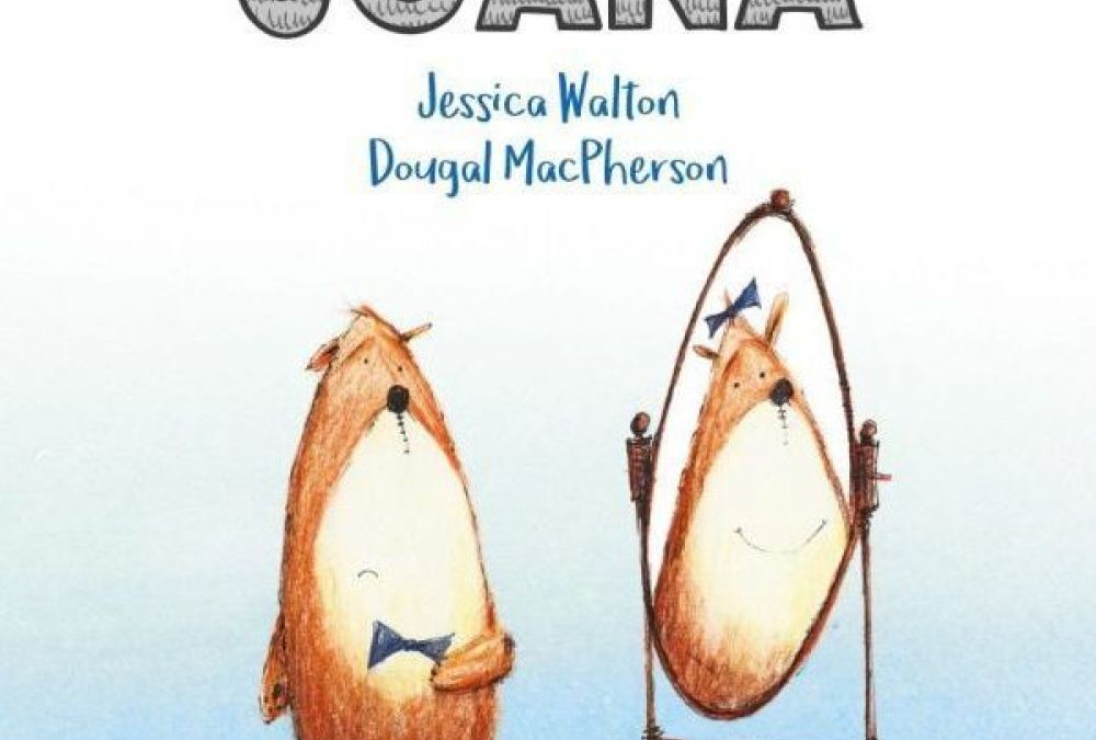 Recurs del CeDRe del mes de febrer de 2025