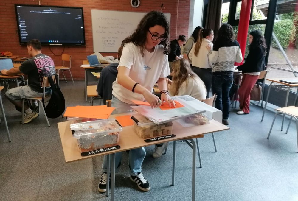 Projectes educatius per a quatre museus de la demarcació