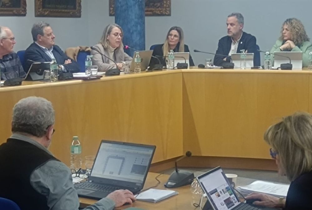 Vols declarar el teu municipi lliure de matrimonis forçats?