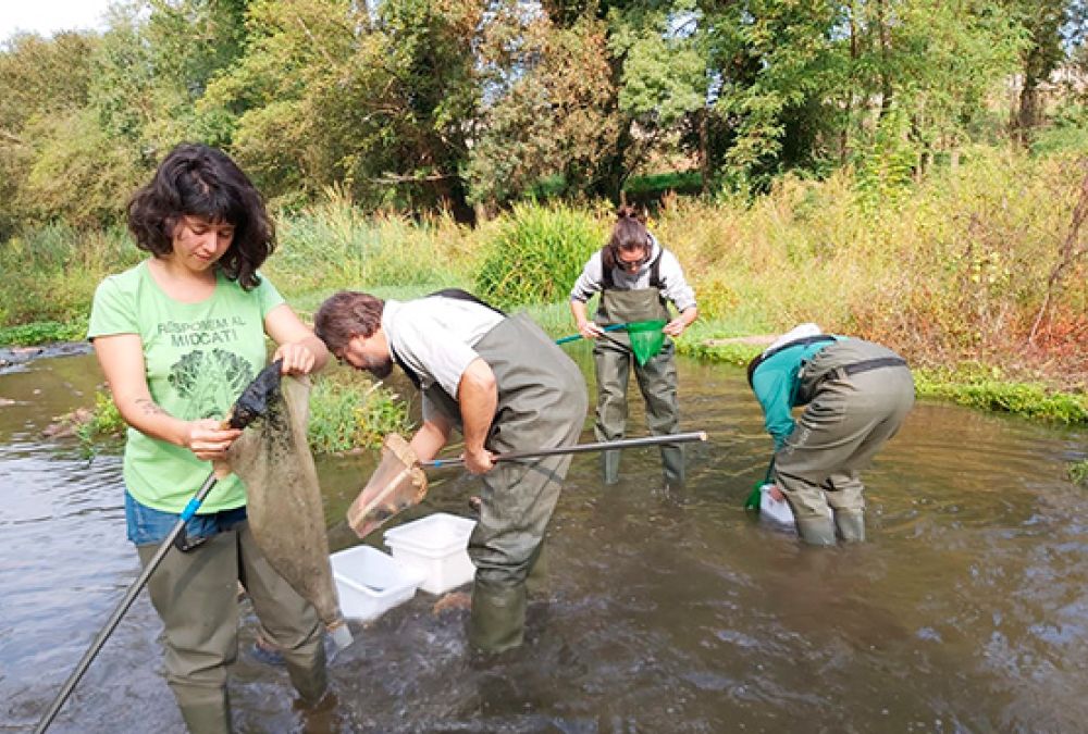 Jan Ferrer Picó (Natus): “Per viure millor i tenir una vida digna, no hi ha més opció que fer-se ecologista.”