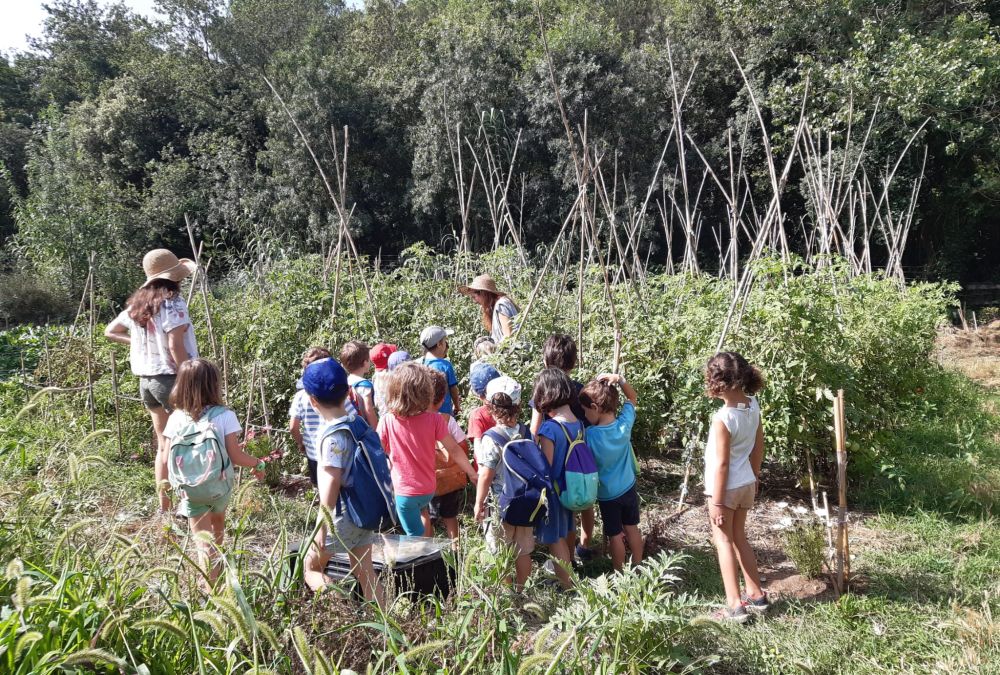 Jan Ferrer Picó (Natus): “Per viure millor i tenir una vida digna, no hi ha més opció que fer-se ecologista.”